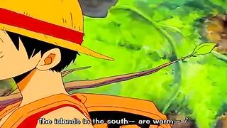 Luffy's Baka Song
