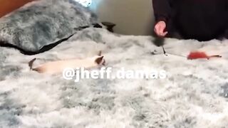 @jheff.damas