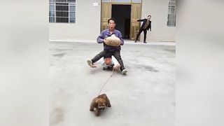 Funny family videos