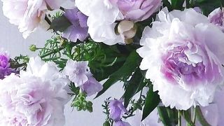 Flowers 7