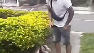 Snake prank????