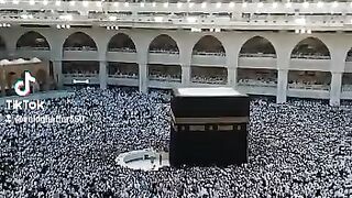 Harem pak video