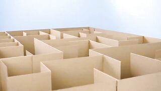 0:02 / 3:53   GIANT Maze Labyrinth for Cat Kittens. Can they EXIT?