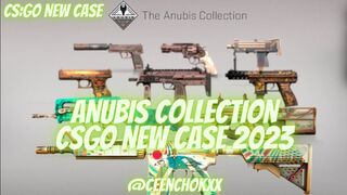 CS:GO new case come today "Anubis Collection"