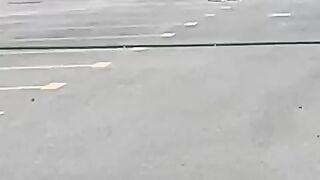 Russian dog in housing society