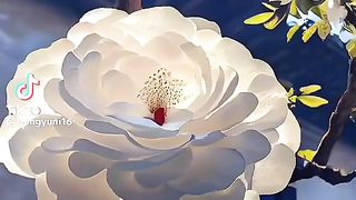 Beautiful flowers 9