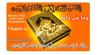 Quran e Pak | قرآن پاک | Para 12 | وَمَا مِنْ دَابَّةٍ | Chapter 12 | Wa Mamin Da’abat | Urdu Translation | MrMarkhor01