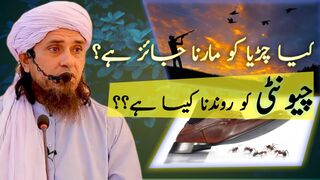 Kia chirya ko marna jaiz he? Chunti ko kuchalna kesa he? Mufti Tariq Masood sb