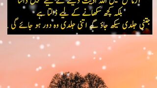 Ache Bat