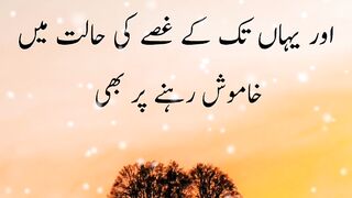 Ache Bat 2