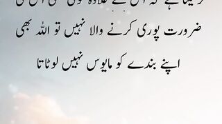 Ache Bat 4