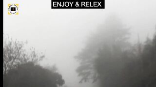 Enjoy & Relax