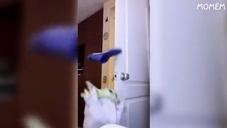 if you laugh 6.9 times, you have to restart