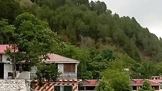 Pakistan beauty 3