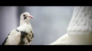 Comedy scene 3