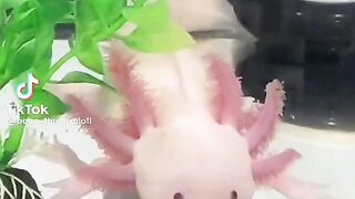 TikTok April 2023 | Funny Vines Compilation | Best Of The Month!