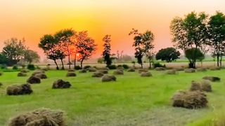Beautiful Pakistani Village