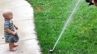#7 Funny Animal Videos 2022 Best Dogs And Cats Videos