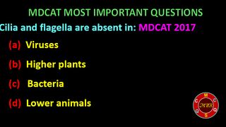 Cilia and flagella are absent in.#biologymcqs  #mdcatbiology #eteabiology #numsbiology #neetbiology