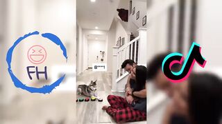 Funny Dog Tik Toks 2023