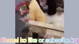 China funny video 7