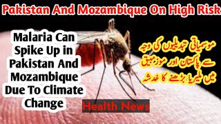 Malaria can spike up in Pakistan and Mozambique due to climate change