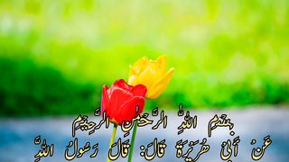 Allah ki zeker se Allah ki maaeit naseb hota hin