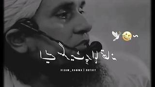 Funny clip 46