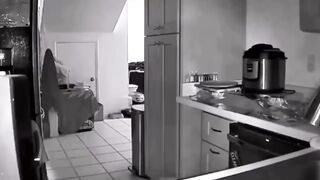 Funny Dogs And Cats Videos 2023????