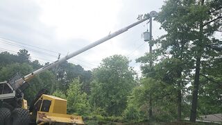 Tree Cutting in Atlanta USA