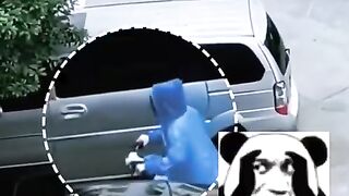 Best funny video 42