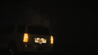 Bass song 2
