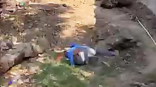 El lagarto y el dinero part 1