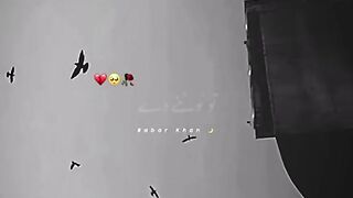 Mufti Tariq Masood sahib ???????????????? 2