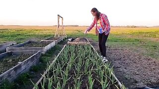 ВТОРО ПОДХРАНВАНЕ НА ЧЕСЪН