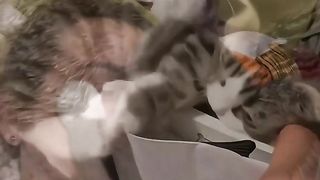 CATS WORLD 25