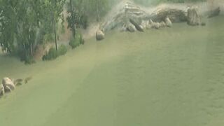 Hard Landing 2