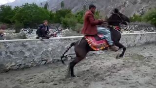 Dasi Arturul with horse.