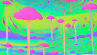 lotus psychedelic landscape