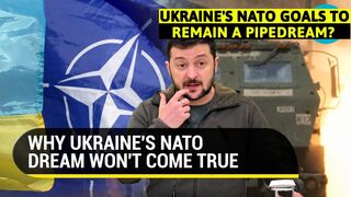'Get Putin's Consent' NATO Nation embarrasses Ukraine