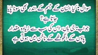 General knowledge video in urdu 2