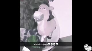 you laugh you do crack