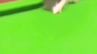 cool video 3