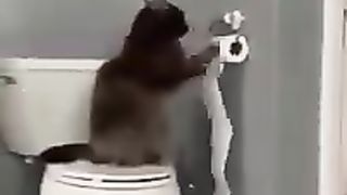 FUNNY MOMENTS TIKTOK COMPILATION