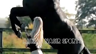 #best horses dance of 2023#ytshorts#youtubeshorts