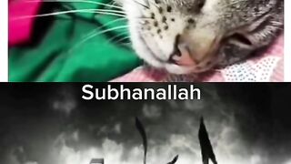 Ayatullah