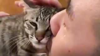 Animals get sad