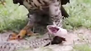 Man vs wild//Hindi//new episode 2021 4