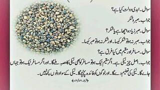 Best information 2