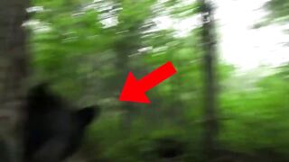 12 Times Hunters Messed With The Wrong Animals